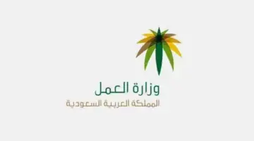 خطوات توثيق الموظف عقد العمل بعد إرساله للمنشأة؟ البشرية السعودية تجيب!