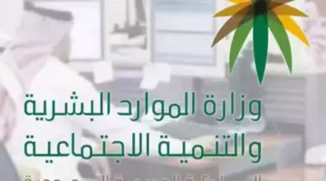 عاجل: قرار هام من وزارة الموارد البشرية .. للعمالة الوافدة بالقطاع الخاص في السعودية ( تعرف عليه)