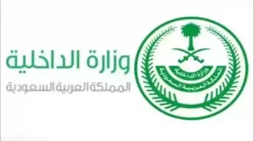 وزارة الداخلية السعودية تفرض غرامة كبيرة عن تأخير تجديد رخصة القيادة المنتهية