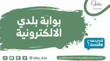 شروط استخراج تصاريح تقديم خدمات العمالة المنزلية من “بلدي”